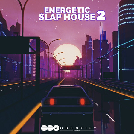 Energetic Slap House 2 - Vocals, energetic bouncy basslines, vocal chops, groovy drums, melodies & more