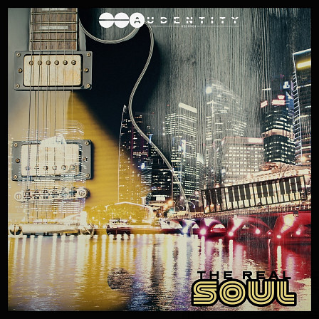 Real Soul, The - A must have for all fans of real 90's/00's Soul & Rnb music