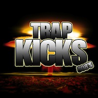 Trap Kicks & 808s - Everything you need to get that dynamic trap sound
