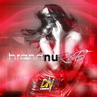 Brand Nu R&B - 7 construction kits in the style of the hottest R&B artists