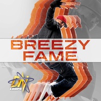 Breezy Fame - 5 awesome contruction kits in the style of Chris Brown