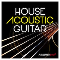 House Acoustic Guitar - A treasure chest of acoustic gold