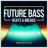 Future Bass: Beats & Breaks - Build your original future beats with simplicity and ease