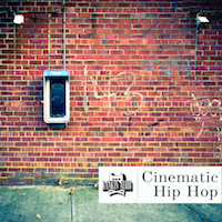 Cinematic Hip Hop - Cinematic Hip Hop contains over 100 Melodic and Instrument Loops & much more