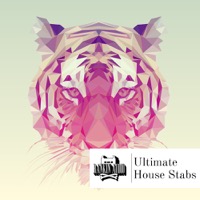 Ultimate House Stabs - 205 single hit stabs ready for you to use in your latest dancefloor smasher