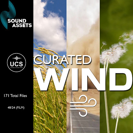 Curated Wind - An extensive sound library containing 171 unique files of Wind