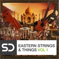 Eastern Strings & Things Vol.1 - Hybrid eastern instruments that are not commonly found in your music store
