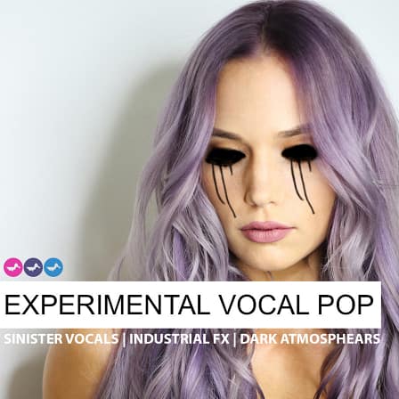 Experimental Vocal Pop - Inspired by the industrial, minimal electronica and electro pop scenes