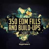 EDM Fills and Build-Ups Vol.2 - Your track needs great powerful Fills before the drop and massive Build-Ups