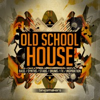 Old School House - A fusion of modern house with some 80's-90's Old School House