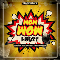 Wow Wow House - 1.08 Gb of Wow Wow House samples, one shots and more