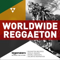Worldwide Reggaeton - A fusion of Latin American and Caribbean music with a Moombahton influence