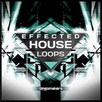 Effected House Loops - A wide variety of effected House Loops at 125BPM weighing 620 MB