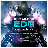 Explosive EDM Arsenal - Be careful exploring this collection as it's a totally Explosive EDM Arsenal!