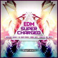 Supercharged EDM - Rezone is proud to present a new collection of “Supercharged EDM” samples