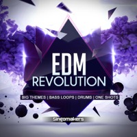 EDM Revolution - An atomic fusion of New School Progressive House with old school Electro House