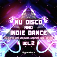 Nu Disco And Indie Dance Vol.2 - To create a fusion of Nu Disco, Nu Rave and Indie Dance then this kit is for you