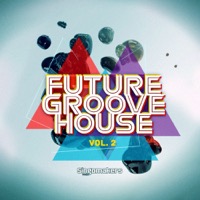 Future Groove House Vol.2 - A huge set of Experimental Percussions and Effected Loops for Modern House