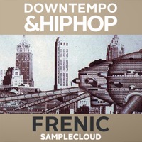 Frenic Downtempo & Hip Hop - A perfectly assembled blend of studio staples for Hip Hop & Downtempo music