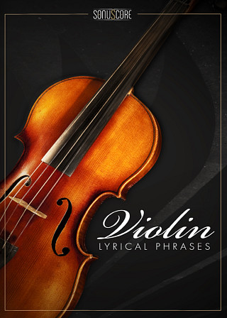 Lyrical Violin Phrases - An Evocative Solo Performance