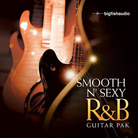 Smooth n' Sexy R&B Guitar Pak - This is definitely a must have for smooth R&B producers