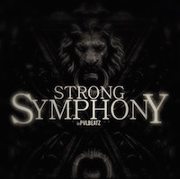 Strong Symphony - Hip-Hop/Trap loops and construction kits that will enhance your track