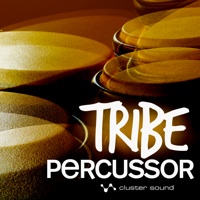 Tribe Percussor - Tribe Percussor is an ultra flexible loop-based tool based on real percussions