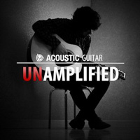 Unamplified Chopz - 600 one-shot acoustic guitar samples, chops, riffs, licks and rich chords