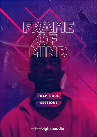 Frame of Mind: Trap Soul Sessions - 50 Trap Soul construction kits to get you in the right headspace for a hit