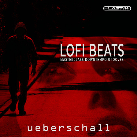 LoFi Beats - Masterclass Downtempo Grooves