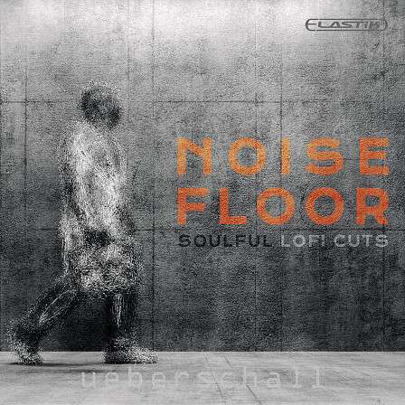 Noise Floor - Soulful LoFi Cuts