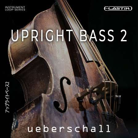 Upright Bass 2 - Down Tempo & Down Low