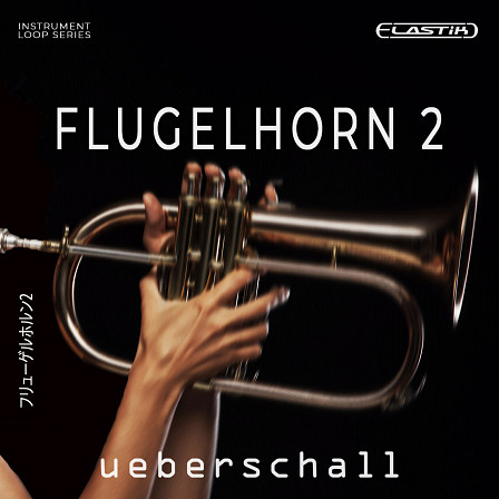 Flugelhorn 2 - The Ultimate In Smooth