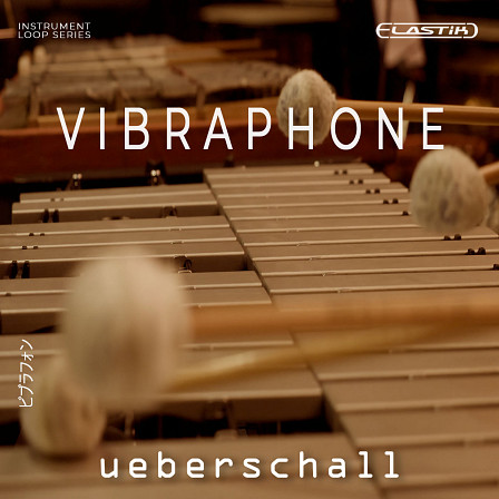 Vibraphone - The Coolest Vibes