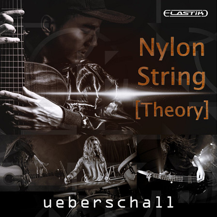 Nylon String Theory - Virtuoso Performances Of Classical Spanish Guitar