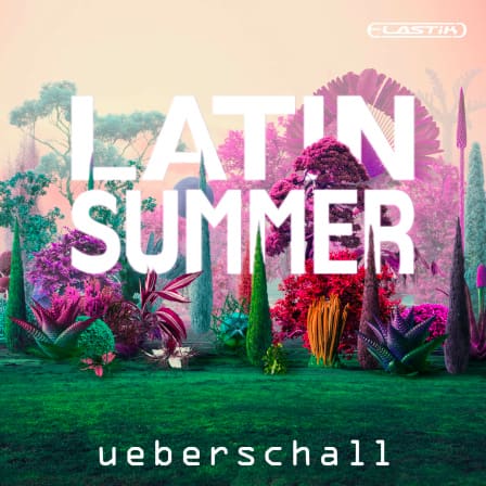 Latin Summer - Feel-Good Party Grooves