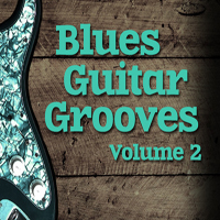 Blues Guitar Grooves Vol.2 - 64 rough and ready blues guitar loops arranged in 5 construction kits