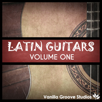 Latin Guitars Vol.1 - 66 loops arranged in 5 convenient loop packs ranging from 110 to 160 BPM