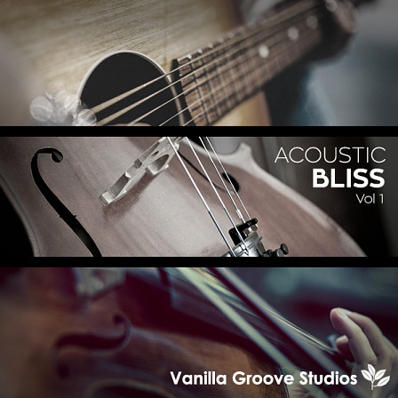 Acoustic Bliss Vol 1 - Cello, violin, mandolin, acoustic steel and nylon string guitars, and ukulele!
