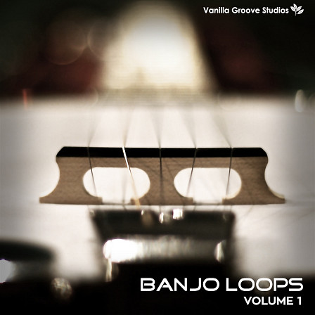 Banjo Loops Vol 1 - 213 bright and quirky banjo loops