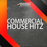 Commercial House Hitz - Inspired by top producers and artists