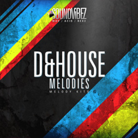 D&House Melodies - Make your own hit track with the highest quality melodies around