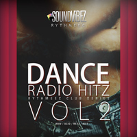 Dance Radio Hitz Vol.2 - Inspired by top producers