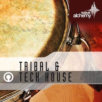 Tribal & Tech House - Tribal infused tech house rhythms and authentic percussive ensembles