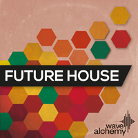 Future House - An eclectic collection of gritty swinging beats, lush chords and more!