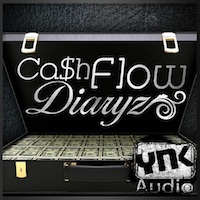 Ca$h Flow Diaryz - A Hard Hittin collection of five Dirty South Construction Kits