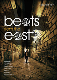 Beats From The East - 1,1150 loops of Hip Hop, R&B, Techno and House