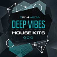 Deep Vibes House Kits product image