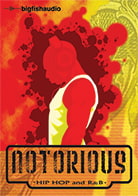 Notorious: Hip Hop and R&B product image