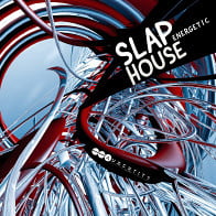 Energetic Slap House product image